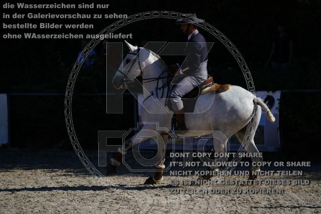 s_K3F03151.JPG